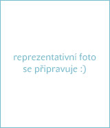 čert